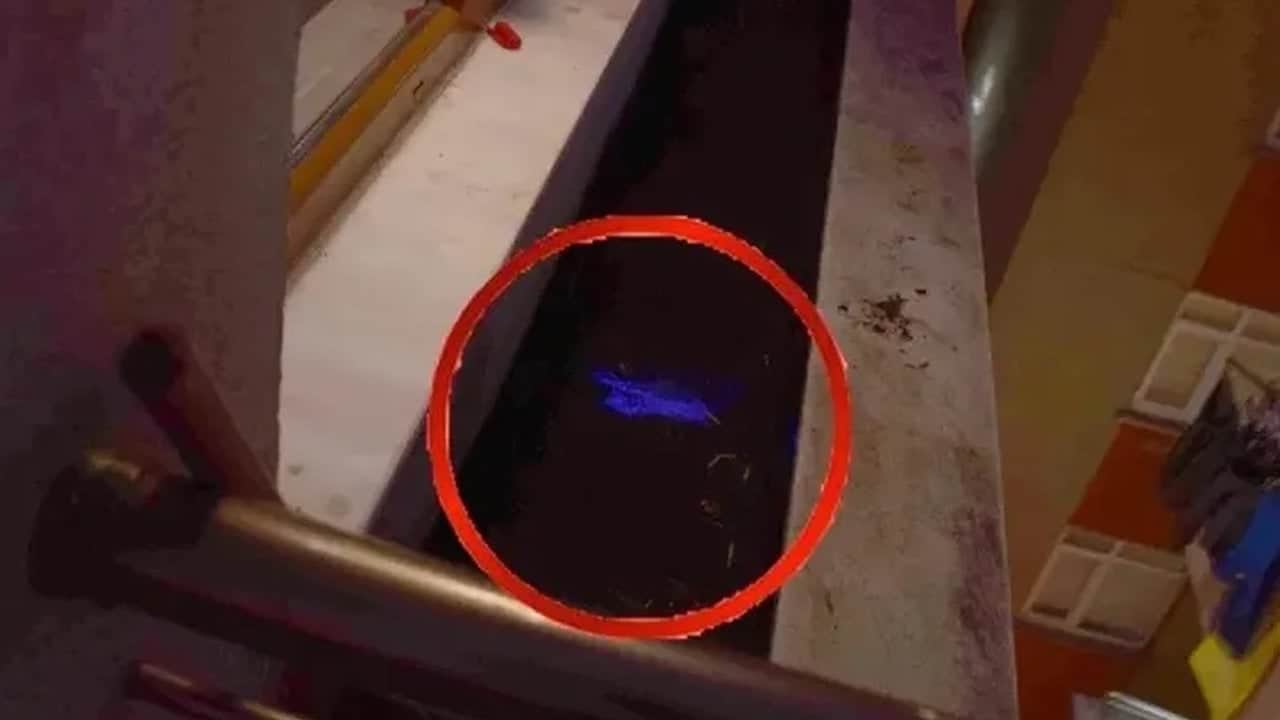 Foto - 7 yıllık sır cinayet böyle çözüldü! Eşini vahşice öldürüp 3 parçaya bölerek çöpe atmış