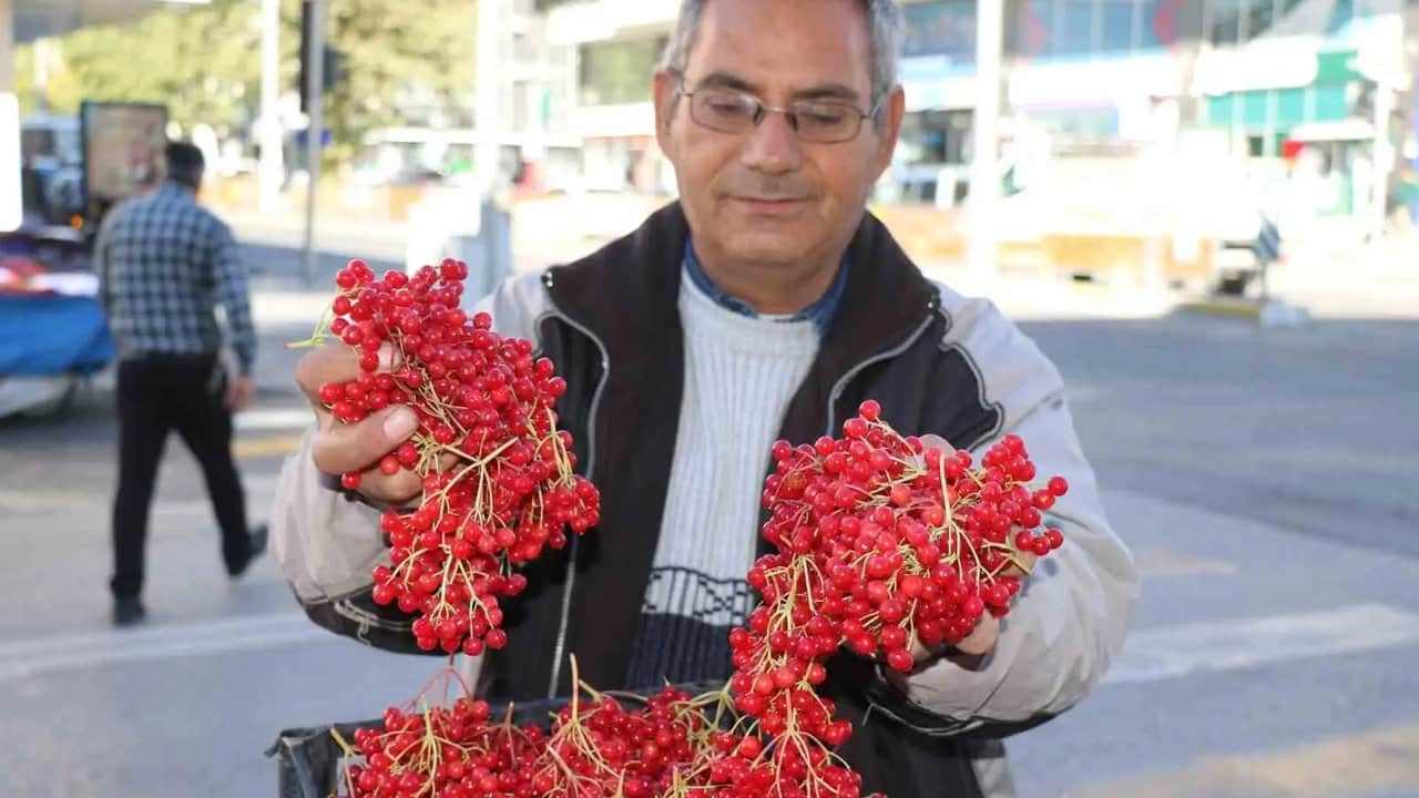 Foto - 70 derdin biiznillah devası Erzincan tezgahlarında! "Gençlik iksiri" denen o meyve yok satıyor