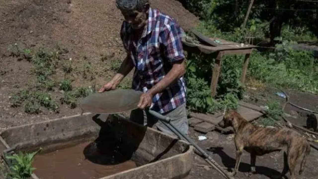 Foto - 700 kilo altın bulup zengin olmuştu! Madencinin şimdiki hali görenleri şaşırtıyor!