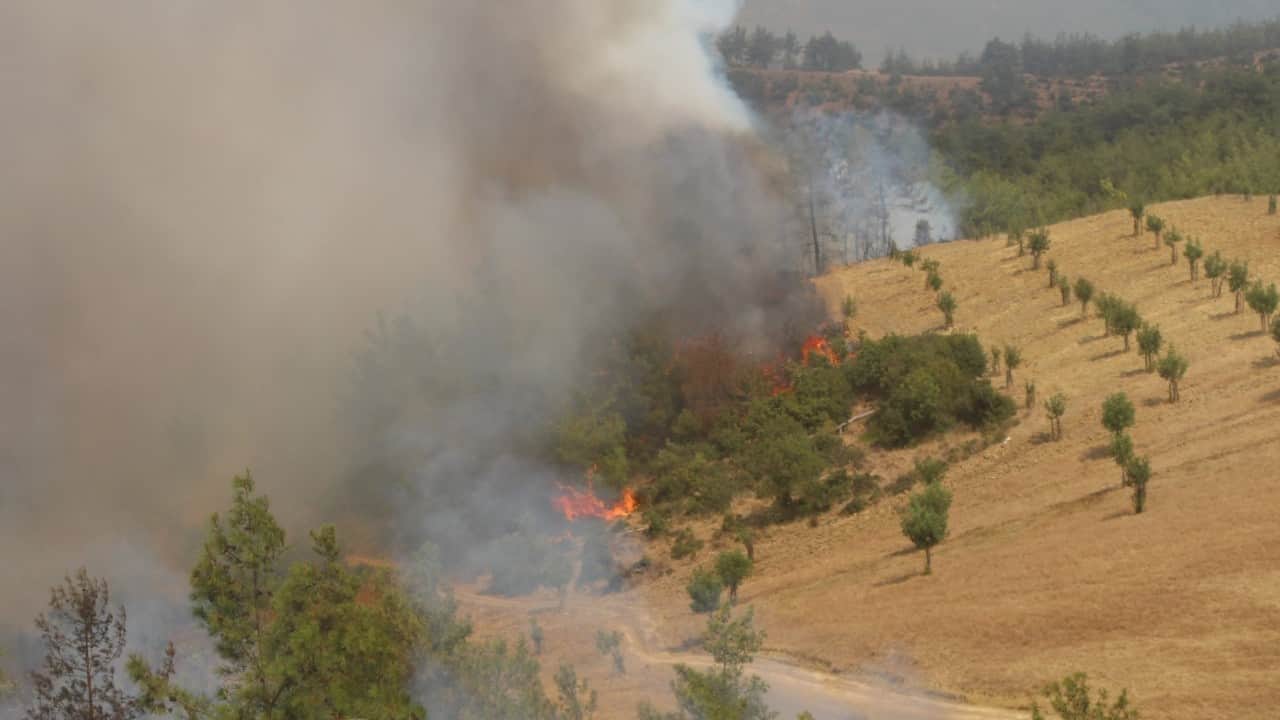 Foto - Adana'da orman yangını! Evler tahliye edildi, uçak ve helikopterler bölgede