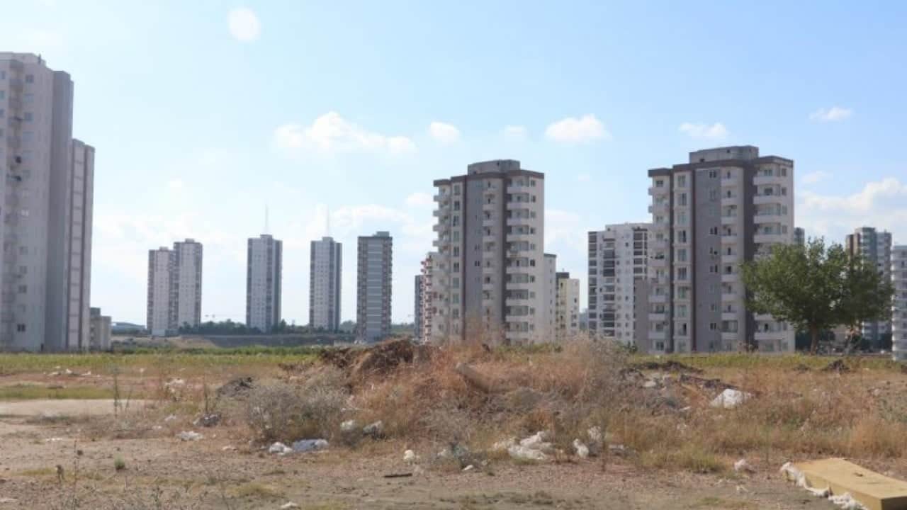 Adana'da vatandaşların gece kabusu oldu! Sesleri dinmek bilmiyor