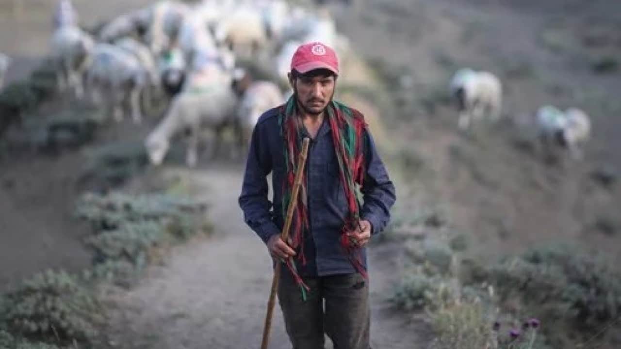 Foto - Afganistan'da Türkiye skandalı: Karaborsaya düşürdüler