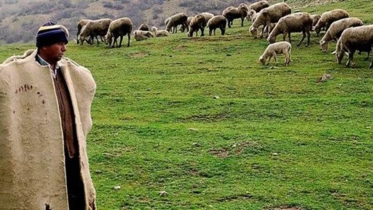 Foto - Afganistan'da Türkiye skandalı: Karaborsaya düşürdüler