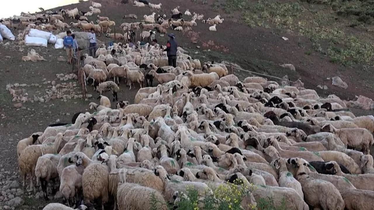 Foto - Afganistan'da Türkiye skandalı: Karaborsaya düşürdüler