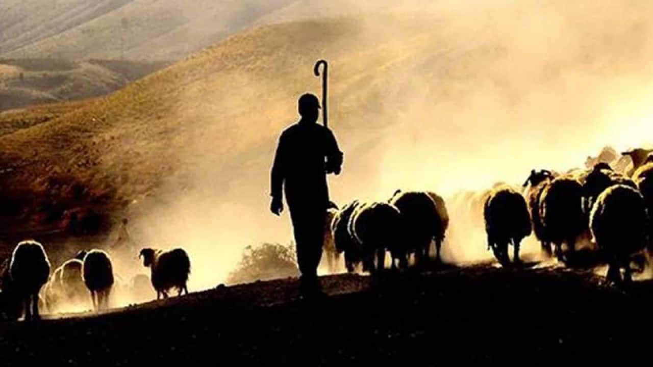 Foto - Afganistan'da Türkiye skandalı: Karaborsaya düşürdüler