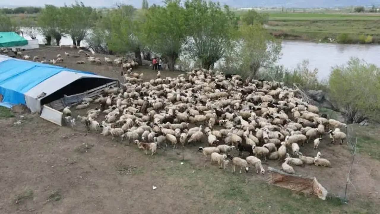Foto - Afganistan'da Türkiye skandalı: Karaborsaya düşürdüler