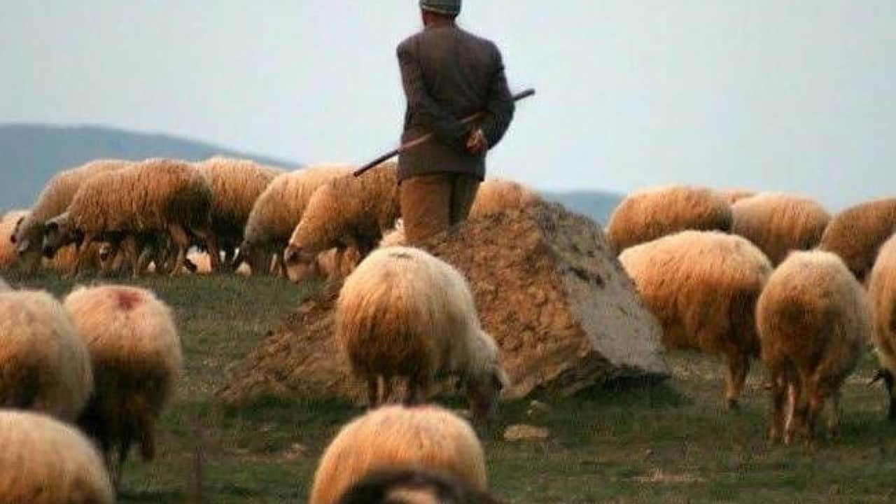 Foto - Afganistan'da Türkiye skandalı: Karaborsaya düşürdüler