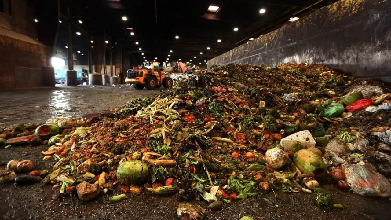 Foto - Afrika açlık çekiyor, AB israf ediyor! Avrupa’da kişi başına 129 kilo gıda çöpe gitti