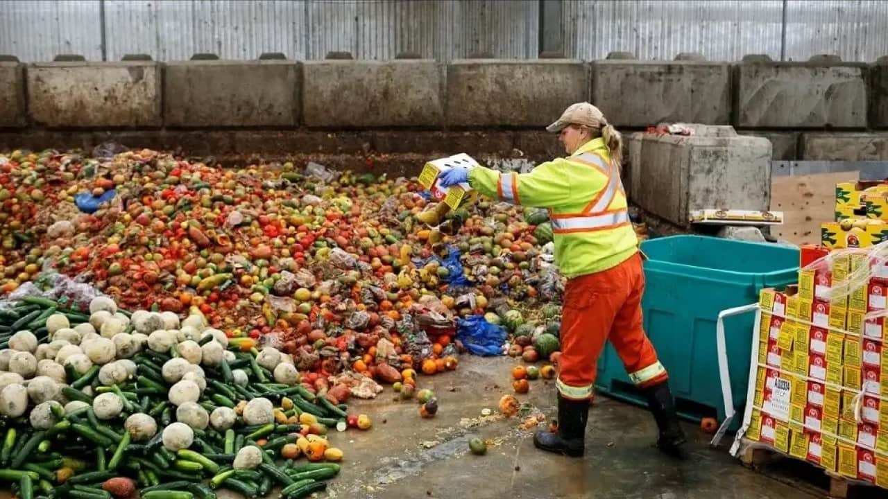 Foto - Afrika açlık çekiyor, AB israf ediyor! Avrupa’da kişi başına 129 kilo gıda çöpe gitti
