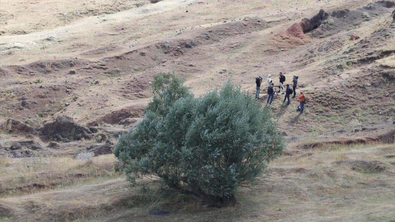 Foto - Ağrı’da kayıt altına alıyorlar! Nuh'un Gemisi uluslararası belgesellere konu oldu
