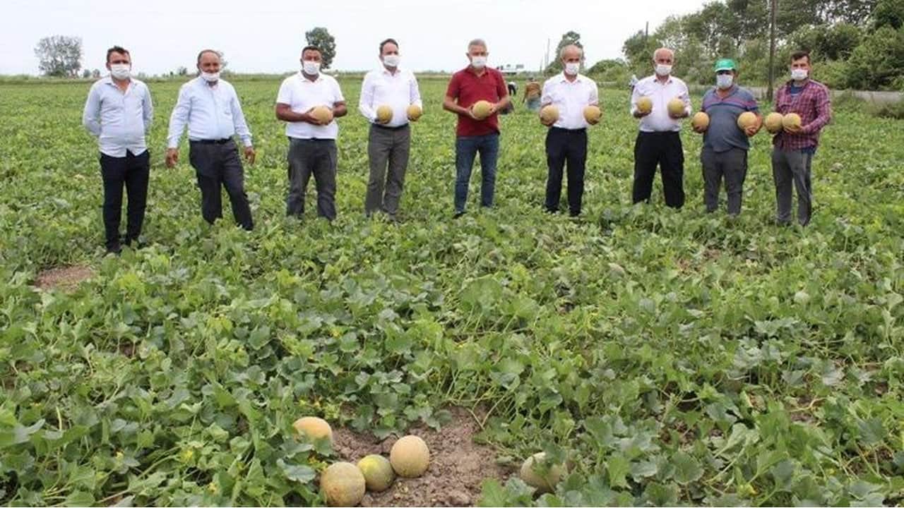 Foto - Ağrı’da mucizevi hasat: "Yetişmez" denilen topraklardan 120 tonluk rekolte fışkırdı
