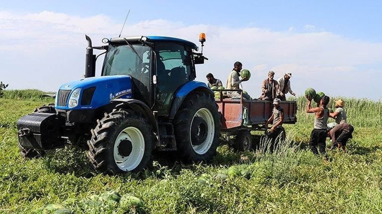 Foto - Ağrı’da mucizevi hasat: "Yetişmez" denilen topraklardan 120 tonluk rekolte fışkırdı