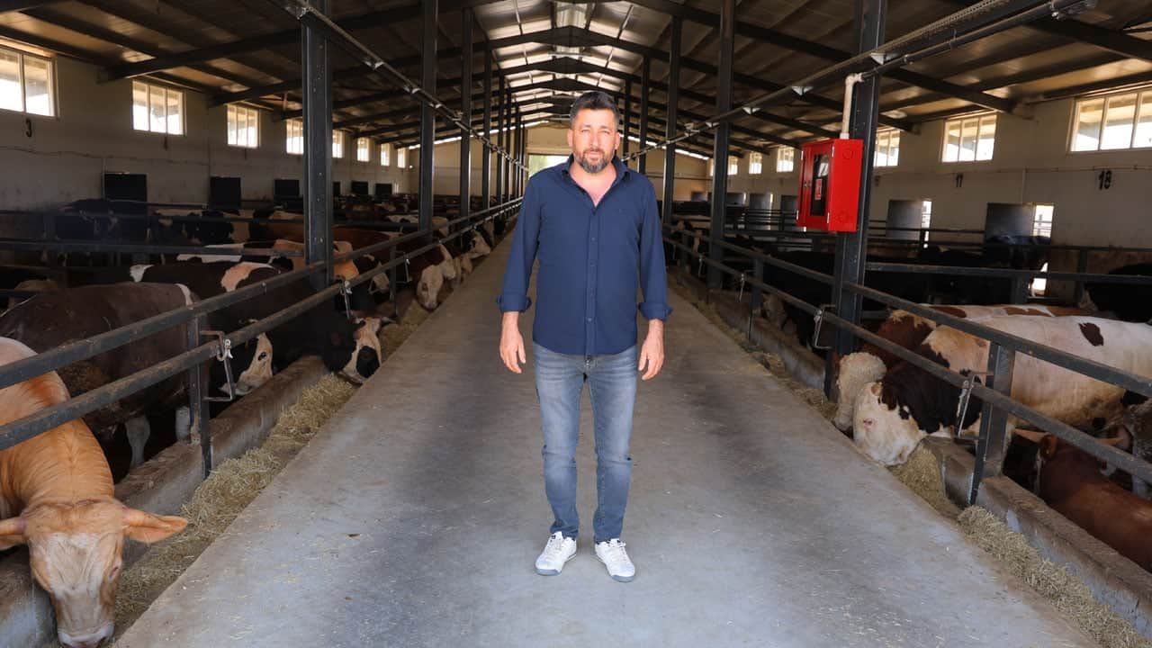 Foto - Ahırların elektriğini yaparken hayatı değişti! 20 milyon TL hibeyle 200 büyükbaşlık çiftlik kurdu