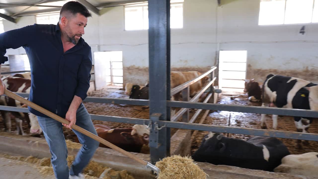 Ahırların elektriğini yaparken hayatı değişti! 20 milyon TL hibeyle 200 büyükbaşlık çiftlik kurdu
