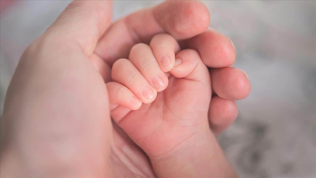 Foto - Aile ve Sosyal Hizmetler Bakanı Göktaş'tan doğum izni hatırlatması