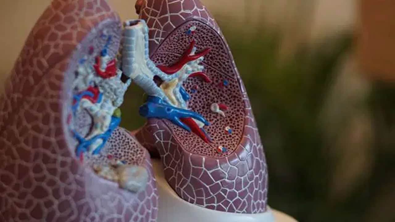 Foto - Akciğerleri tertemiz yapıyor: Sigara içenlere öneri! Ciğerlerinizdeki kirli o alanı açıyor... Öyle bir malzeme ki
