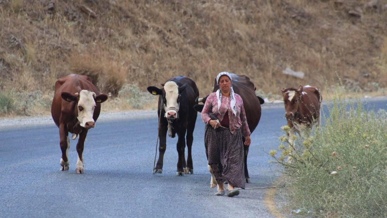 Foto - Alevler evlere ulaştı! Hayvanlarını alıp yangından son anda kaçtılar