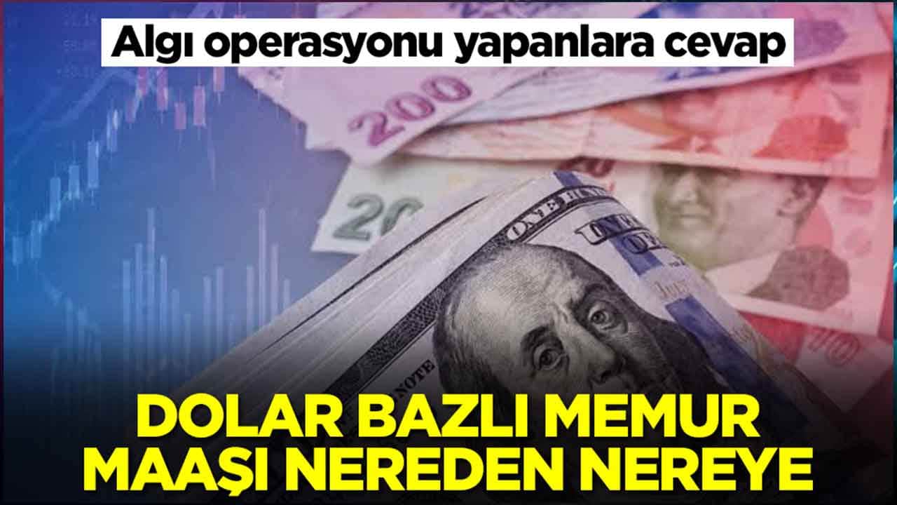 Algı operasyonu yapanlara cevap: Dolar bazlı memur maaşı nereden nereye