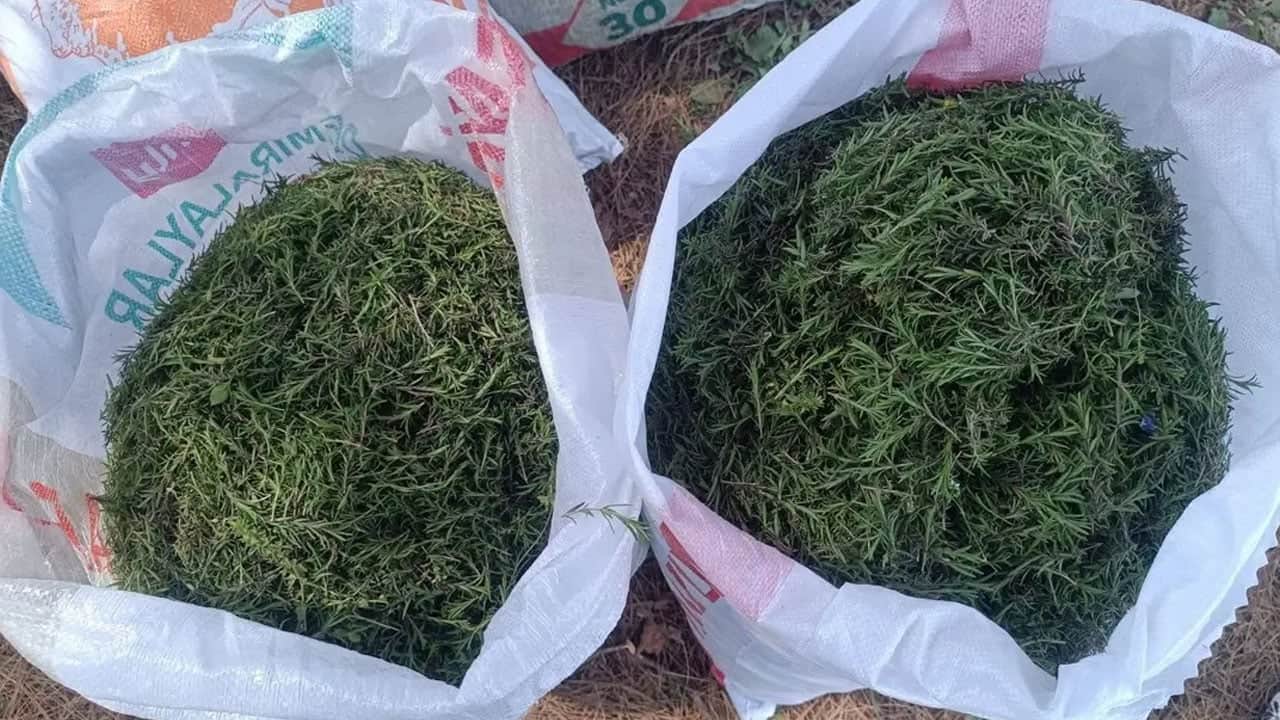  Anadolu'da masaya yatırıldı! Dertlere veda etmek istiyoruz diyorsanız bu yapılır... Vazgeçme yap: 3 tane bile yeter