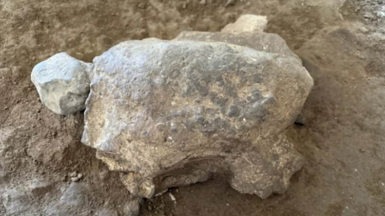Anadolu'da her yerden bir şeyler çıkıyor: 15 bin yıllık heykel bulundu!