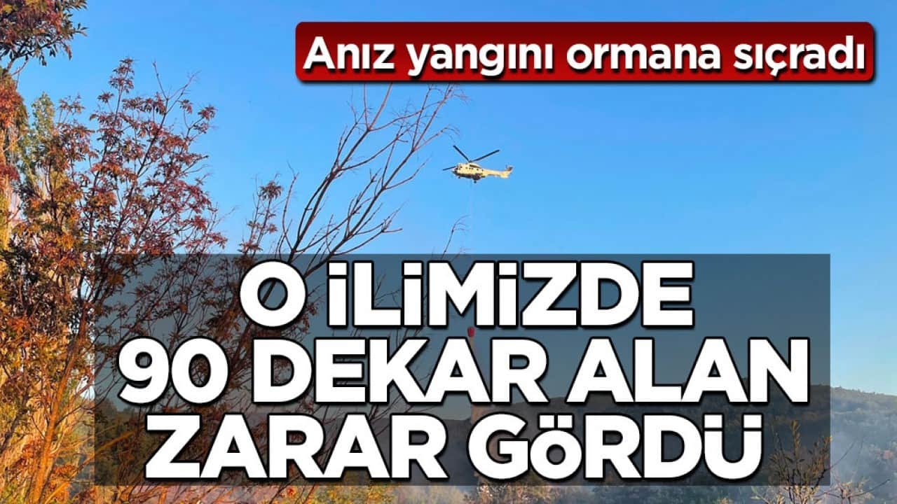 Anız yangını ormana sıçradı! O ilimizde 90 dekar alan zarar gördü