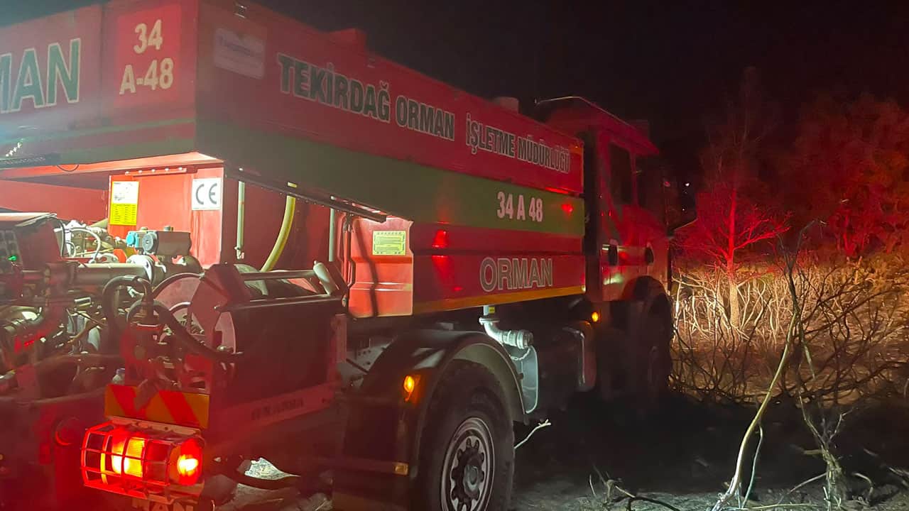 Foto - Anız yangını ormana sıçradı! O ilimizde 90 dekar alan zarar gördü