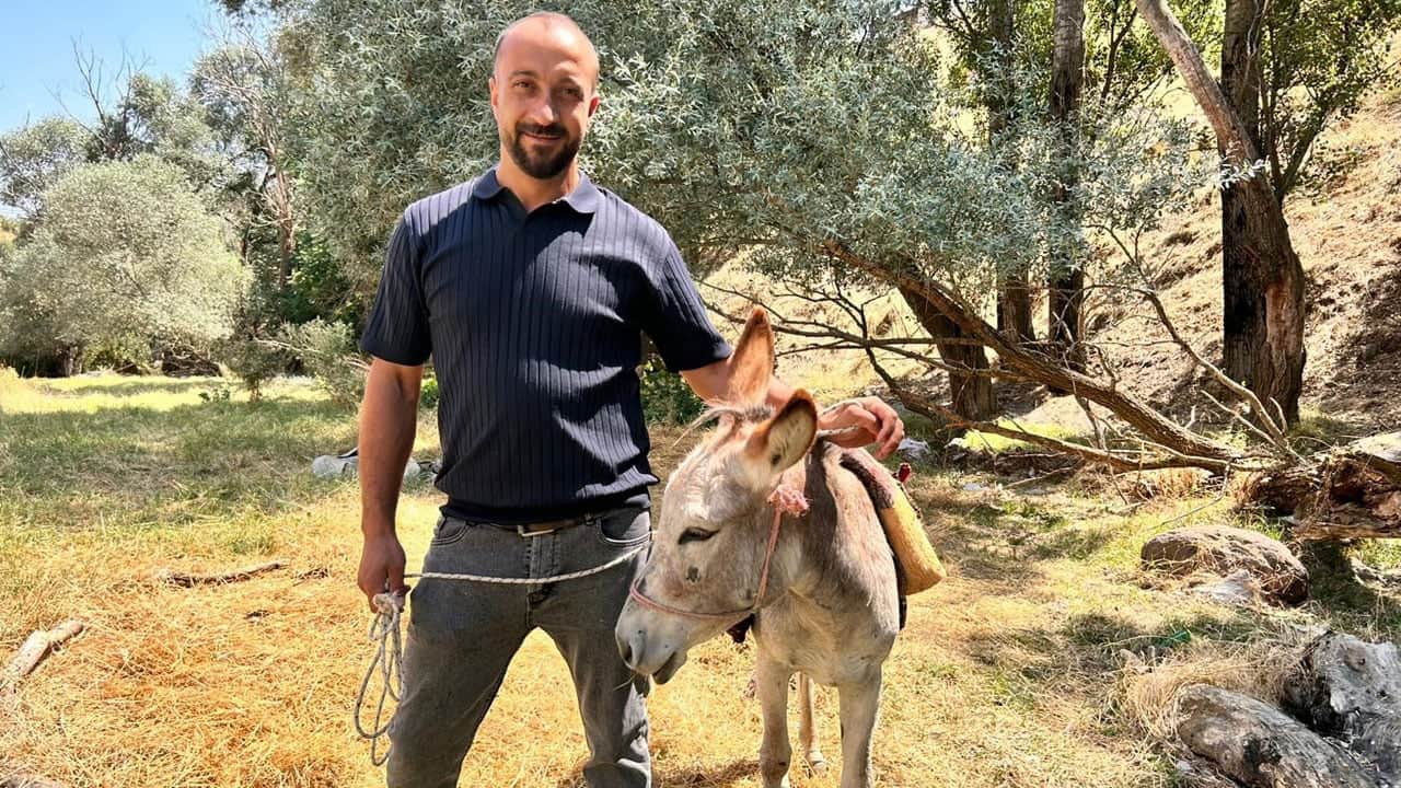 Foto - Ankara'da fıkra gibi olay! Yolda durdurulan sahipsiz eşek çekici ile yediemin otoparkına çekildi