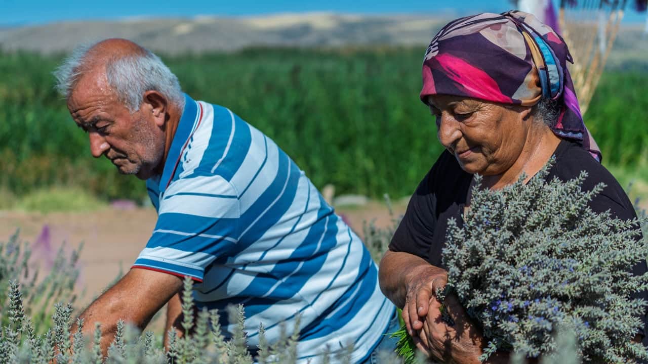 Anlatırken gözyaşlarını tutamadı! Binlerce kişinin ziyaret ettiği bahçede hüzünlü son