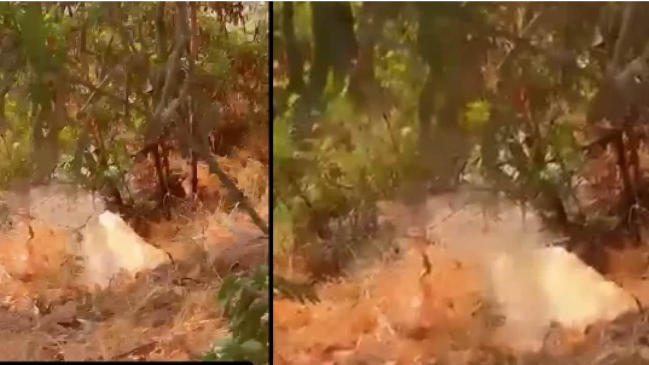 Gözde plajda büyük skandal: Kokunun kaynağını görünce inanamadı!