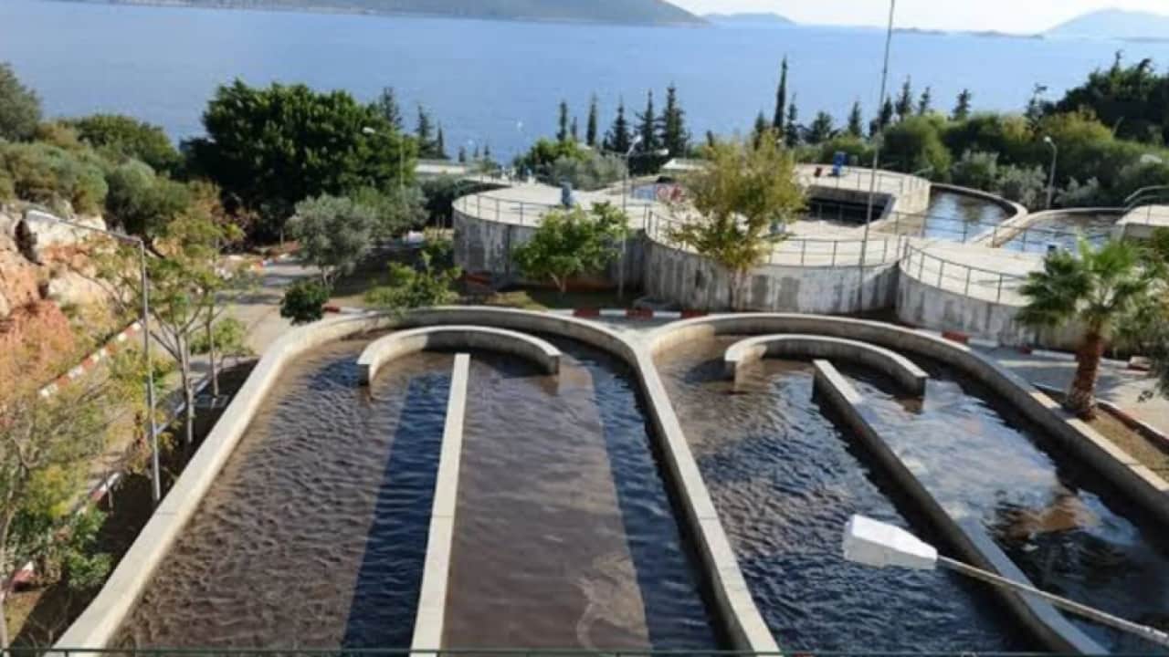 Foto - Gözde plajda büyük skandal: Kokunun kaynağını görünce inanamadı!
