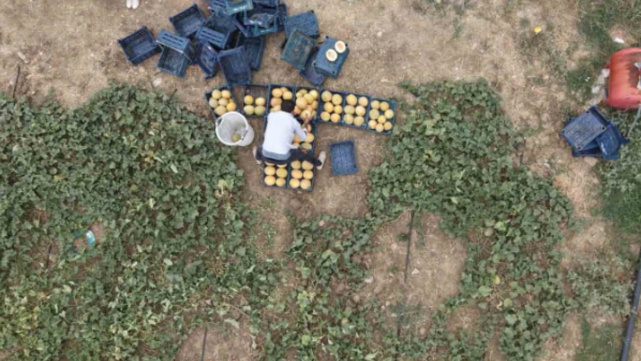 Foto - Aracıları ortadan kaldırdı: 15 lira daha ucuza satıyor!