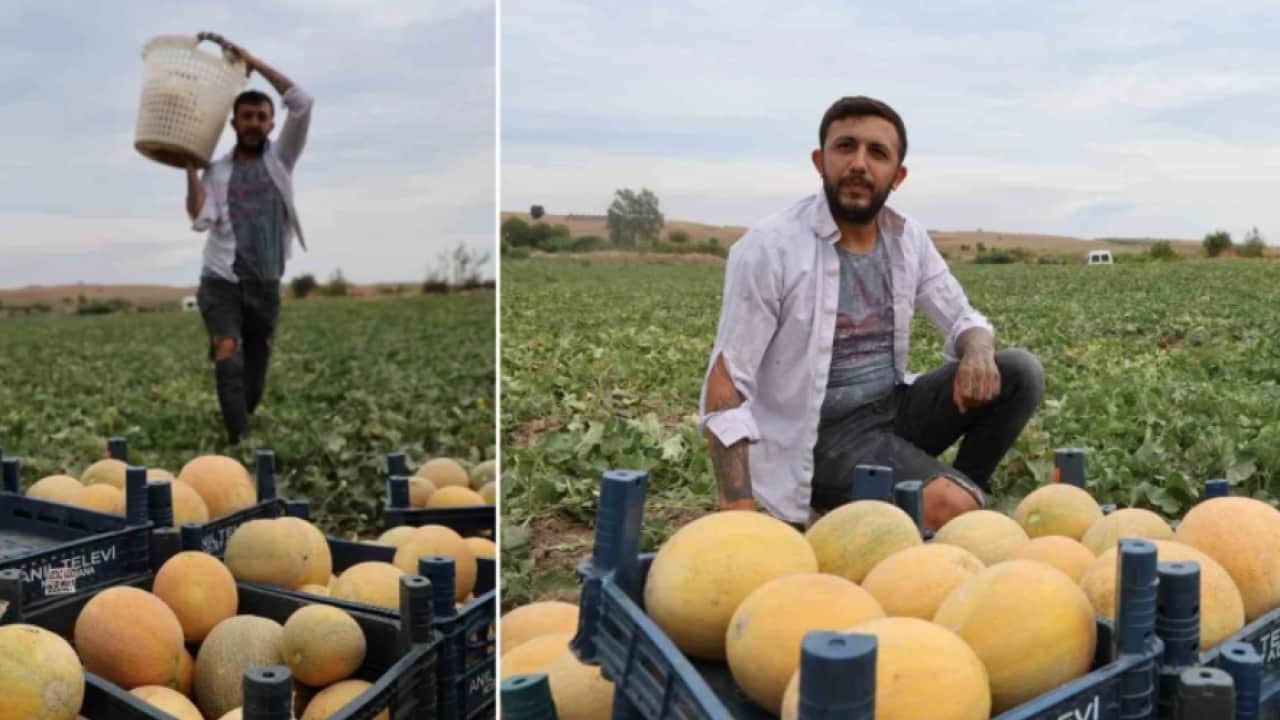 Foto - Aracıları ortadan kaldırdı: 15 lira daha ucuza satıyor!