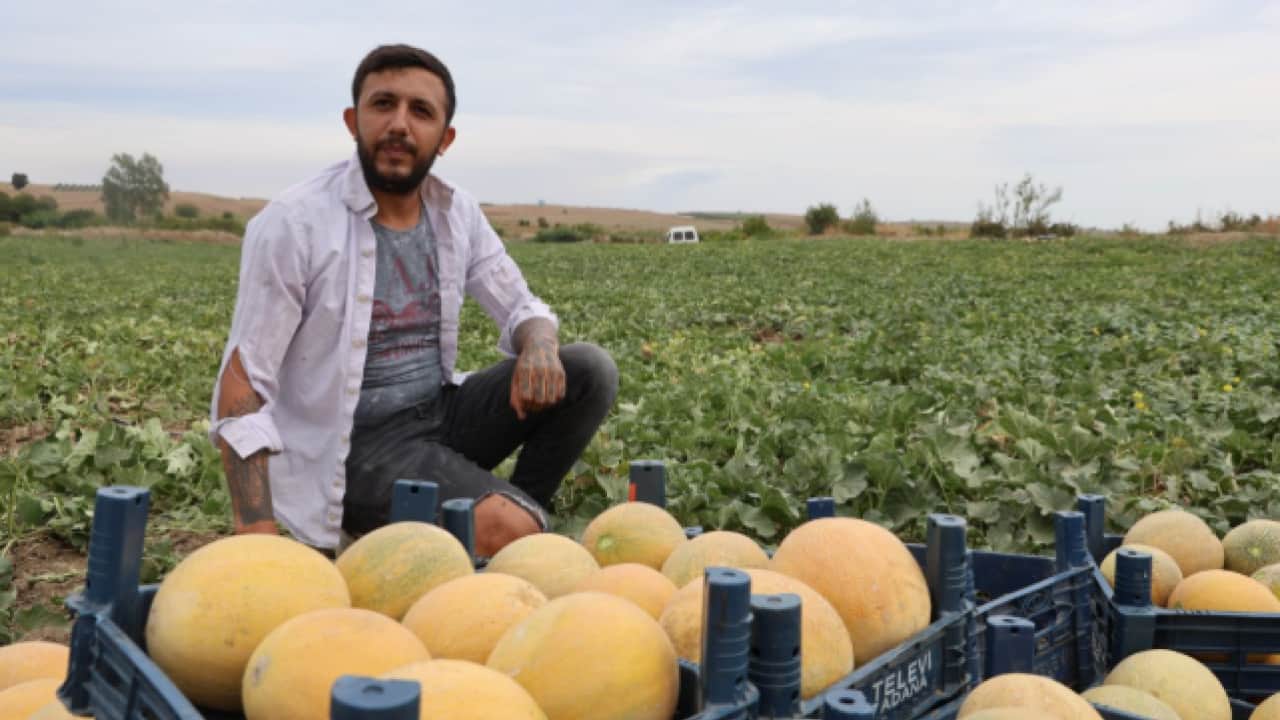 Aracıları ortadan kaldırdı: 15 lira daha ucuza satıyor!