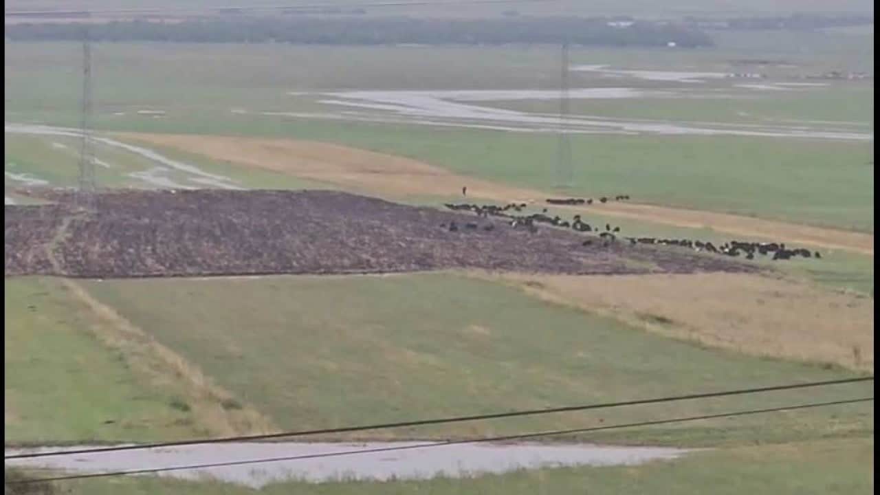 Foto - Ardahan’da felaketin izleri! Şiddetli sağanak ve dolu hayatı felç etti!