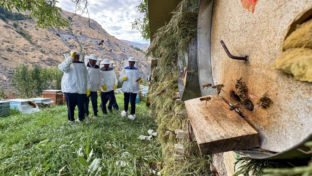 Foto - Arıcıların yüzü güldü! Yağışların bereketi bal hasadına da yansıdı