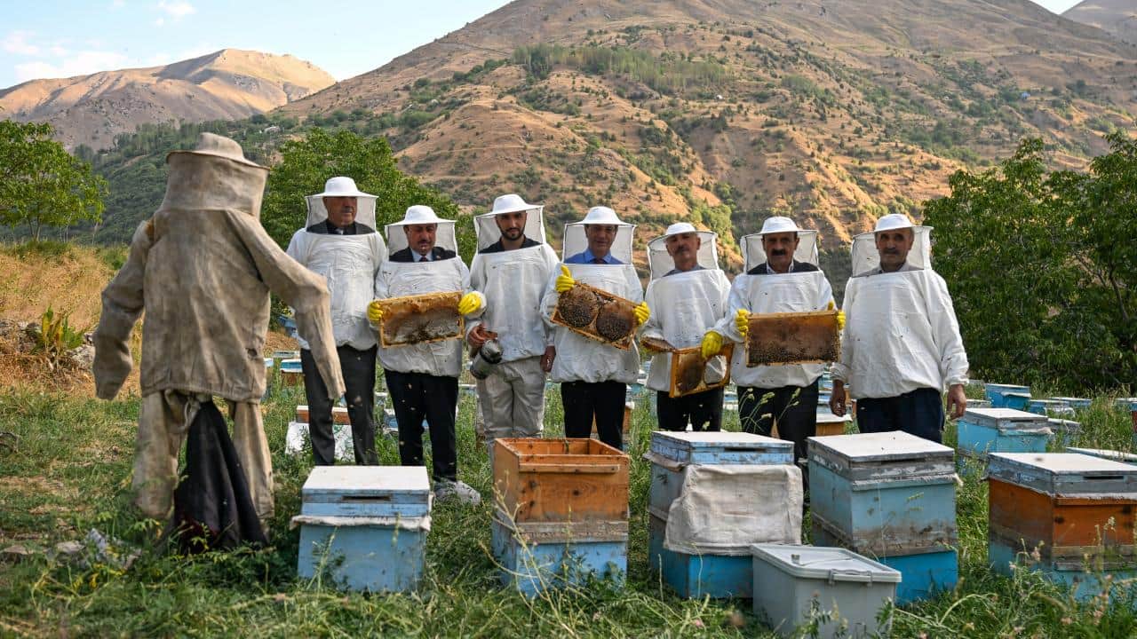 Arıcıların yüzü güldü! Yağışların bereketi bal hasadına da yansıdı