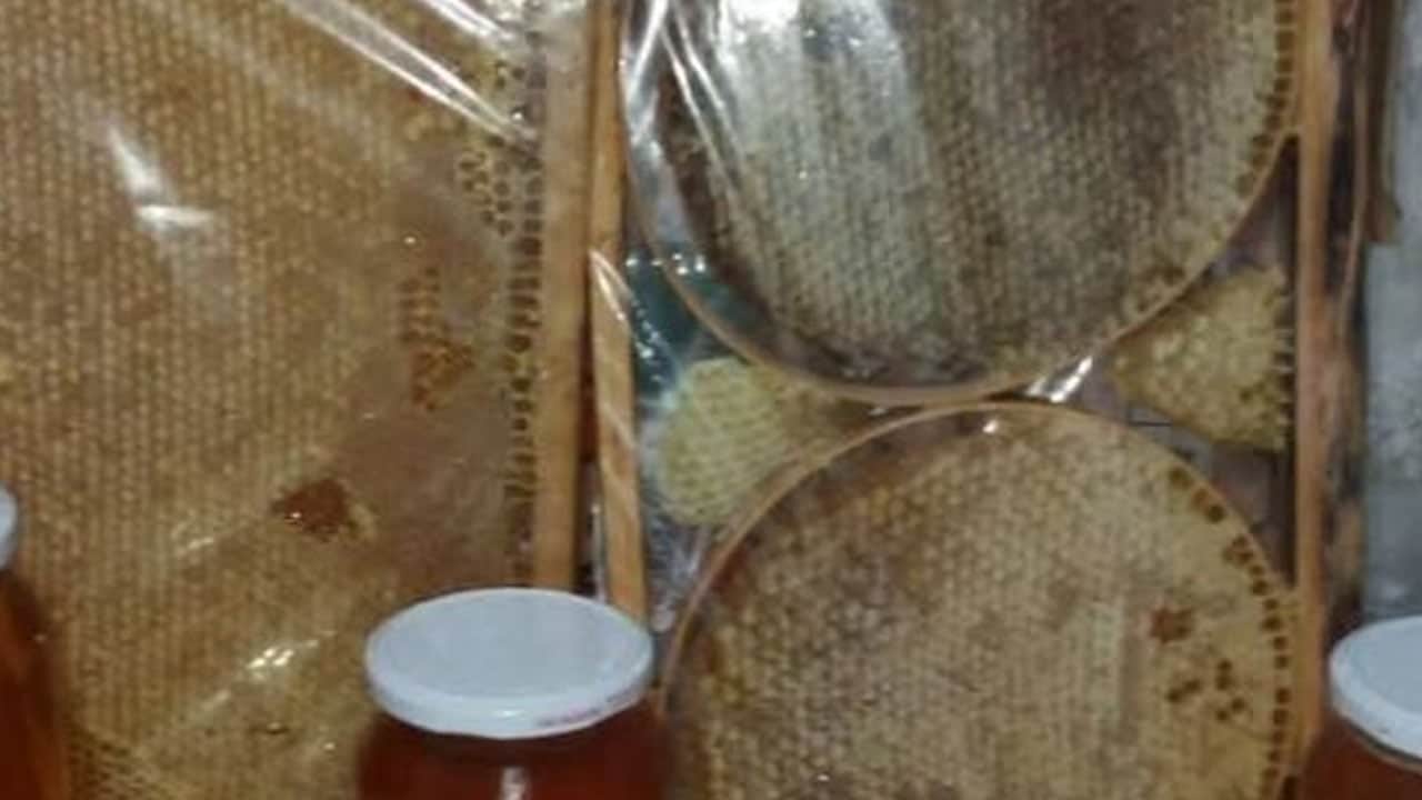Foto - As balda büyük verimi kaybetmeyi istemiyorsanız bakım için müthiş uyum burada: Sistem çöktü, çok büyük darbe vurgusu 