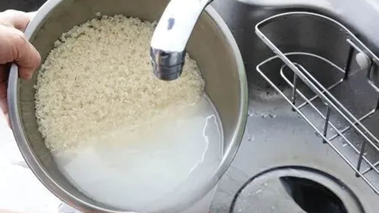 Foto - Asıl sırrı ölçüde değilmiş: Pilavın tane tane olmasının sırrı 30 dakika yetiyor... Sebebi artık biliniyor!