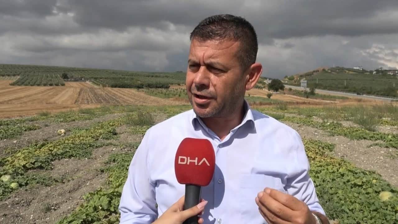 Foto - Ata tohumuyla yetiştiriliyor! Görünüşüyle hırsızları, tadıyla yiyenleri şaşırtıyor