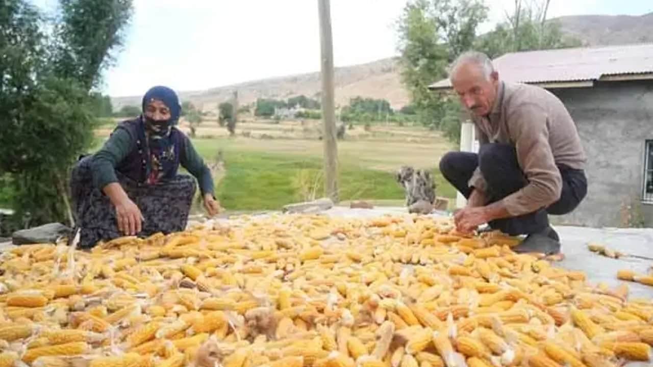 Foto - Ata yadigarı, dededen toruna kalan o süper lezzet: Yemek için Türkiye'nin her yerinden sipariş veriyorlar
