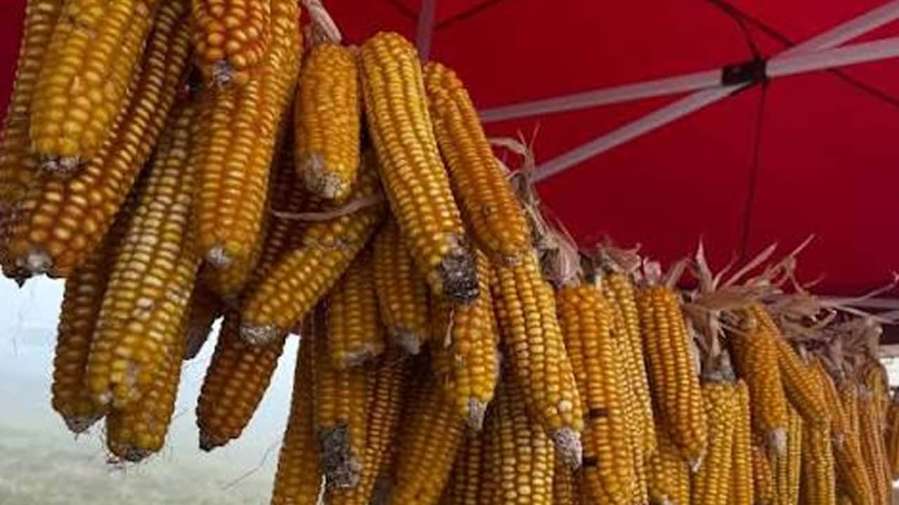 Foto - Ata yadigarı, dededen toruna kalan o süper lezzet: Yemek için Türkiye'nin her yerinden sipariş veriyorlar