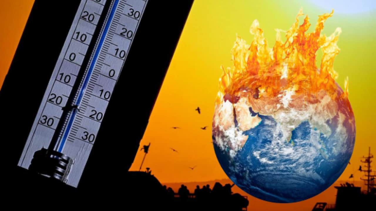 Foto - Avrupa’da gıda krizi kapıda! Rekolte çöktü, fiyat alarmı verildi