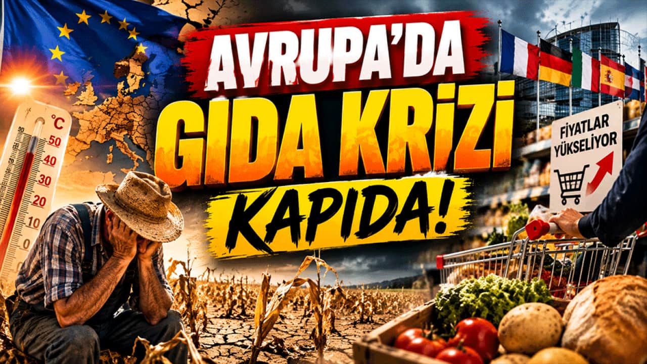 Avrupa’da gıda krizi kapıda! Rekolte çöktü, fiyat alarmı verildi