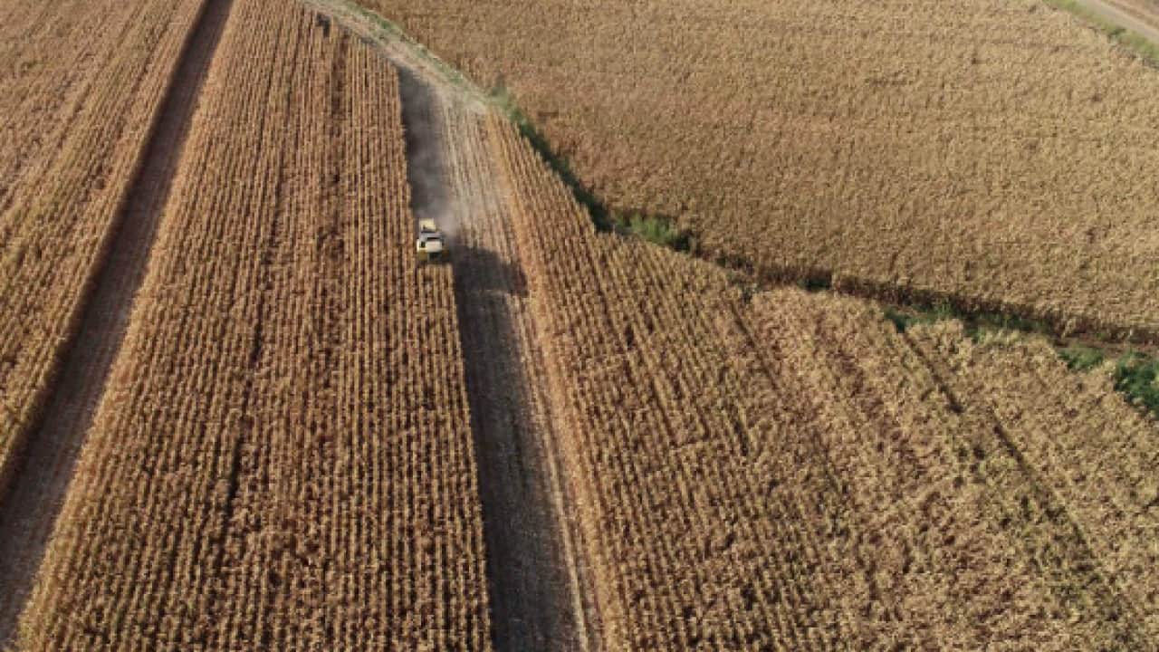 Foto - Avrupa’da gıda krizi kapıda! Rekolte çöktü, fiyat alarmı verildi