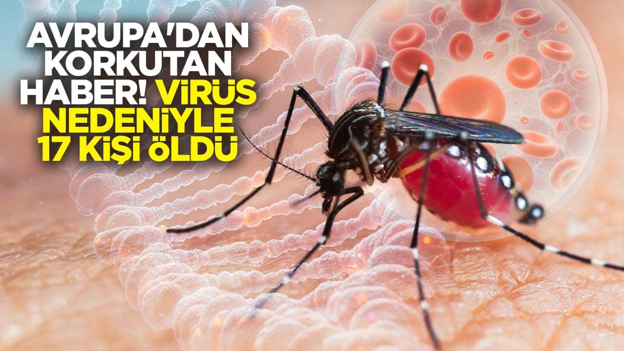Avrupa'dan korkutan haber! Batı Nil virüsü nedeniyle 17 kişi öldü