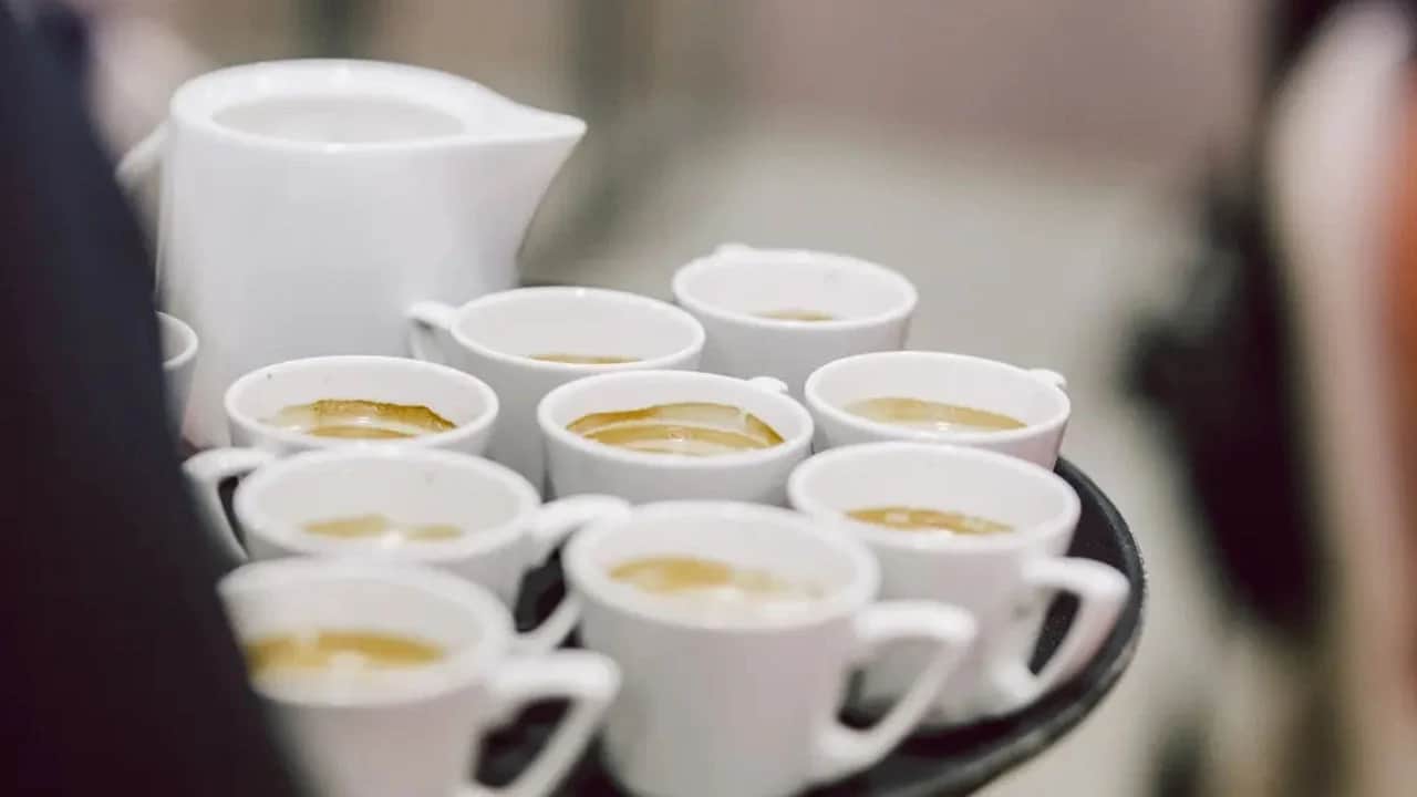Avuç avuç yiyin: Balıktan bile daha fazla Omega-3 içeren kaynak... Faydaları şaşırtıyor... Hadi bakalım neymiş