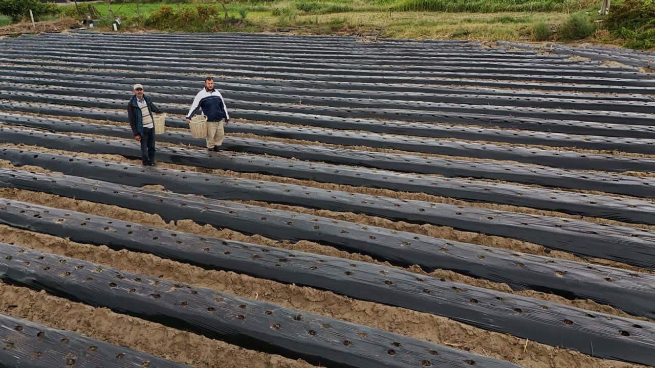 Foto - Babasının 25 yıllık mirasını sürdürüyor! Kurumsal hayatı bırakıp ata toprağına döndü