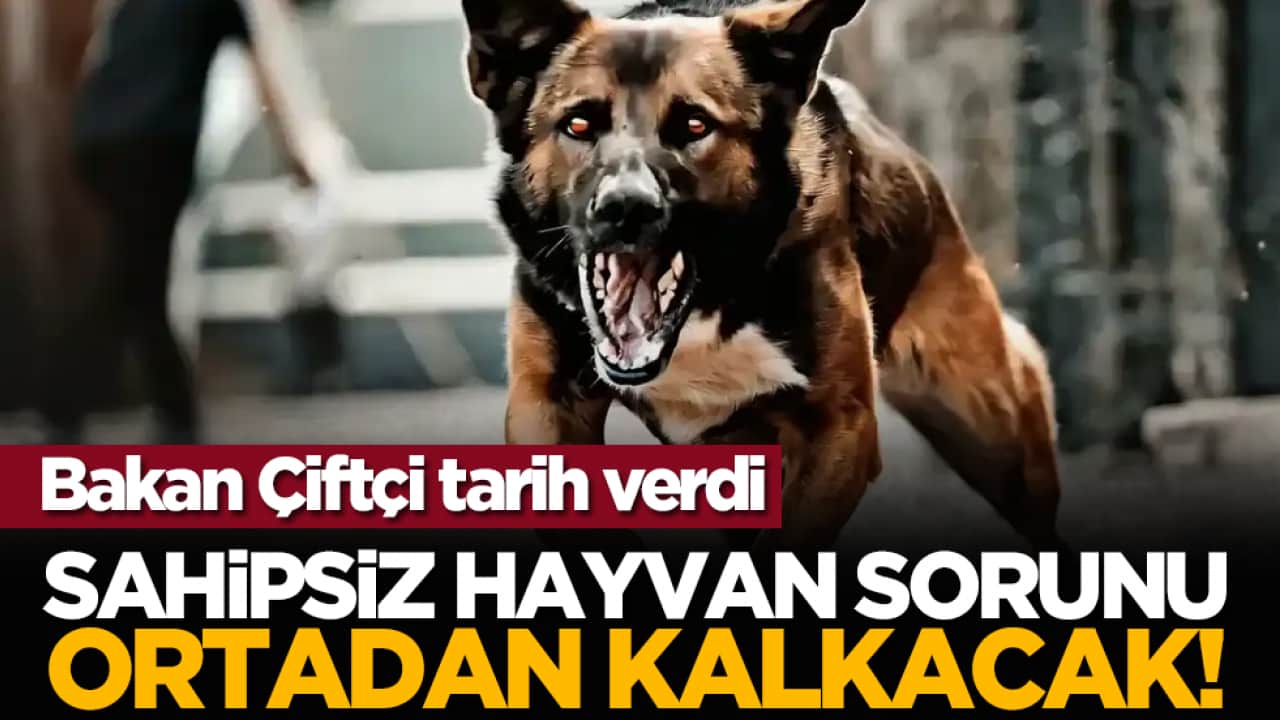 Bakan Çiftçi tarih verdi: Sahipsiz hayvan sorunu ortadan kalkacak!