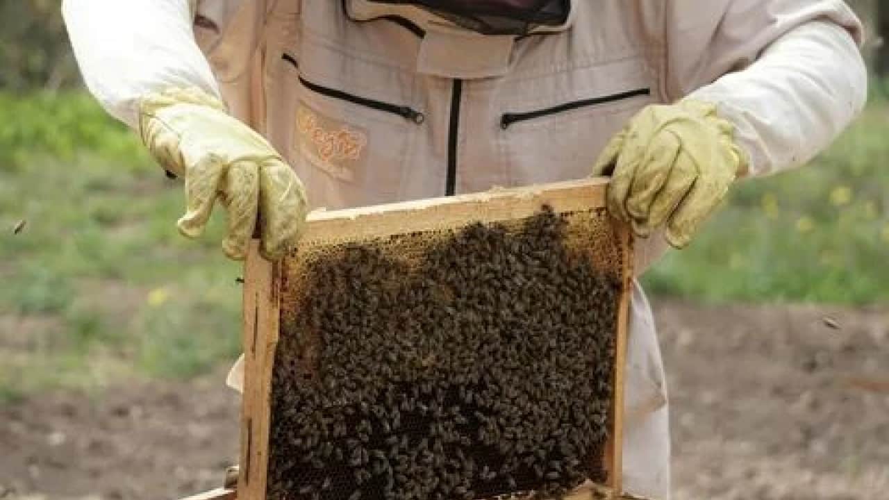 Foto - Bakan sahaya indi! Türkiye o alanda dünya liderliğine koşuyor!