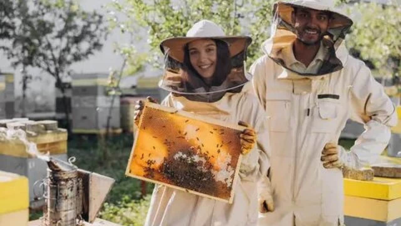 Foto - Bakan sahaya indi! Türkiye o alanda dünya liderliğine koşuyor!